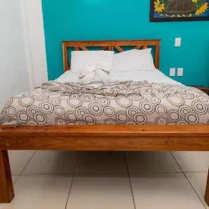 Palmas En Laurel Mexico